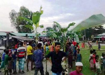 চকরিয়ার কোনাখালীতে চেয়ারম্যানের সমর্থনে  কলাগাছ রোপন