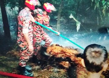 চকরিয়ায় স্বামী হত্যা মামলার আসামীর দাপট, বাদির বাড়িতে আগুন