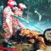 চকরিয়ায় স্বামী হত্যা মামলার আসামীর দাপট, বাদির বাড়িতে আগুন 2 চকরিয়ায় স্বামী হত্যা মামলার আসামীর দাপট, বাদির বাড়িতে আগুন
