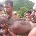 বান্দরবানে বজ্রপাতে ২ ব্যক্তি হত
