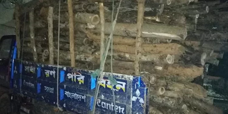 কক্সবাজারে ১৫০ ঘনফুট অবৈধ  গোলকাঠ জব্দ