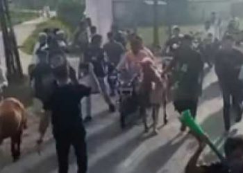 চকরিয়ায় ঘোড়া নিয়ে নির্বাচনী প্রচারণা