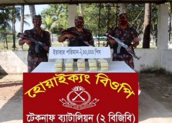 টেকনাফে বিজিবি’র অভিযানে ২ লক্ষ পিস ইয়াবা উদ্ধার