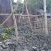 পেকুয়ায় গুঁড়িয়ে দিয়েছে অবৈধ স্থাপনা