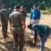 বন্যহাতির মৃত শাবক উদ্ধার