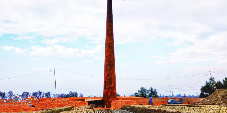 ইটভাটায় ‘বন্দি শৈশব’ পুড়ছে বনের কাঠ