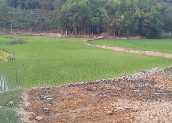 পেকুয়ায় সড়ক নির্মাণের বরাদ্দের টাকা লুটপাটের অভিযোগ