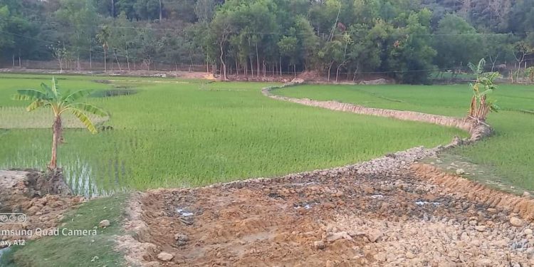 পেকুয়ায় সড়ক নির্মাণের বরাদ্দের টাকা লুটপাটের অভিযোগ 1 পেকুয়ায় সড়ক নির্মাণের বরাদ্দের টাকা লুটপাটের অভিযোগ