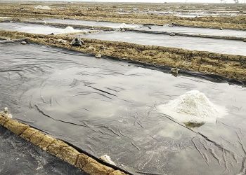 লবণ উৎপাদন স্বাভাবিক; দাম নিয়ে শঙ্কা