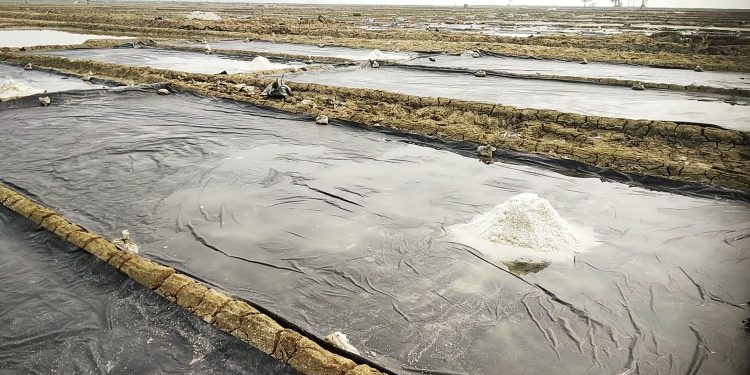 লবণ উৎপাদন স্বাভাবিক; দাম নিয়ে শঙ্কা
