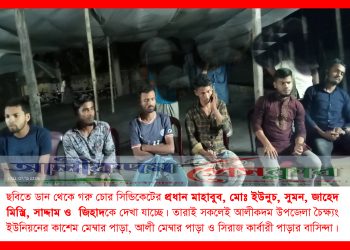 গরু চুরির দিকে ঝোঁক বাড়ছে,  আলীকদমে গরু চুরি করে জবাই,  আটক ৬