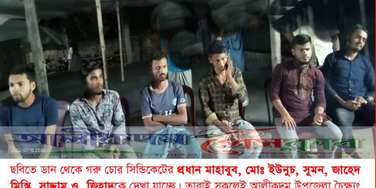 গরু চুরির দিকে ঝোঁক বাড়ছে, আলীকদমে গরু চুরি করে জবাই, আটক ৬ 1 গরু চুরির দিকে ঝোঁক বাড়ছে, আলীকদমে গরু চুরি করে জবাই, আটক ৬