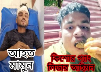 পেকুয়ার কিশোর গ্যাং লিডারের সশস্ত্র হামলায় মাদ্রাসা ছাত্র আহত