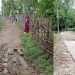 পেকুয়ায় জনগুরুত্বপূর্ণ রাস্তার বরাদ্দ নিয়ে যুবলীগ নেতার বাড়ির রাস্তা সংস্কার!!