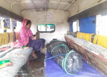 পেকুয়ায় স্ত্রীকে পিঠিয়ে শ্বাসরুদ্ধ করে হত্যা
