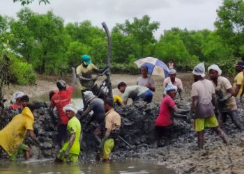 চকরিয়ায় সরকারি শাখাখালের মাটির বাঁধ অপসারণ