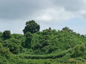 IMG 20220925 WA0014