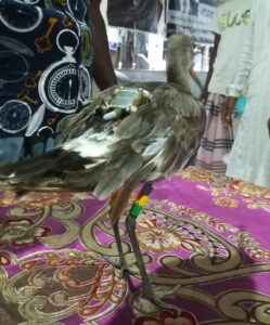 IMG 20220926 WA0029