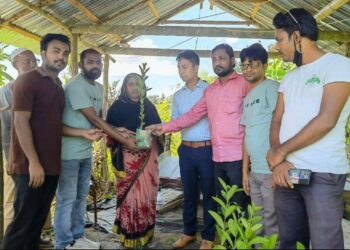 পেঁপে গাছ কেটে সাবাড়, সেই দরিদ্র কৃষাণীর পাশে ইউএনও ও পিস ফাইন্ডার