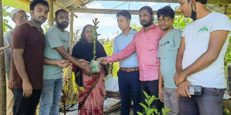 পেঁপে গাছ কেটে সাবাড়, সেই দরিদ্র কৃষাণীর পাশে ইউএনও ও পিস ফাইন্ডার 1 পেঁপে গাছ কেটে সাবাড়, সেই দরিদ্র কৃষাণীর পাশে ইউএনও ও পিস ফাইন্ডার