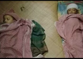 পুকুরে ডুবে দুই শিশুর মৃত্যু