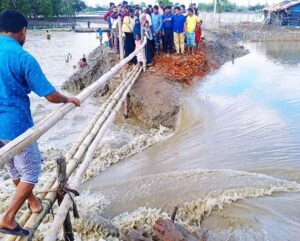 পেকুয়ায় বেড়িবাঁধ ভেঙে নিম্নাঞ্চল প্লাবিত 2 IMG 20221025 WA0007