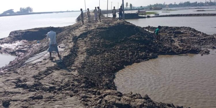 কক্সবাজারের পেকুয়ায় সংস্কারের ১৫ দিনের মাথায় ধসে পড়ল স্লুইচ গেট 1 কক্সবাজারের পেকুয়ায় সংস্কারের ১৫ দিনের মাথায় ধসে পড়ল স্লুইচ গেট