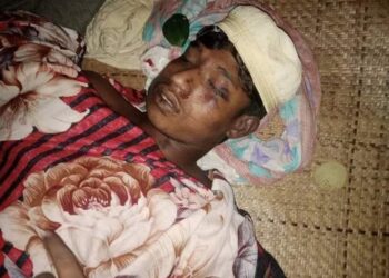 পেকুয়ায় বন্যহাতির আক্রমণে কলেজ শিক্ষার্থীর মৃত্যু