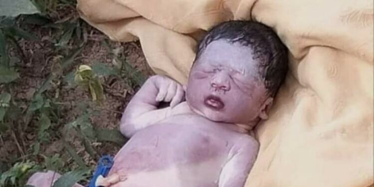চকরিয়ায় চলন্ত এম্বুল্যান্স থেকে ছুঁড়ে  নবজাতককে হত্যাঃ মরদেহ উদ্ধার