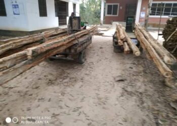 পেকুয়ায় বনবিভাগের অভিযানে কাঠ ভর্তি ট্রলি জব্দ
