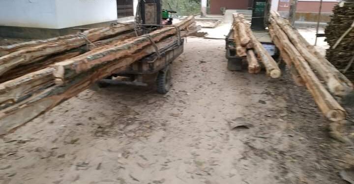 পেকুয়ায় বনবিভাগের অভিযানে কাঠ ভর্তি ট্রলি জব্দ