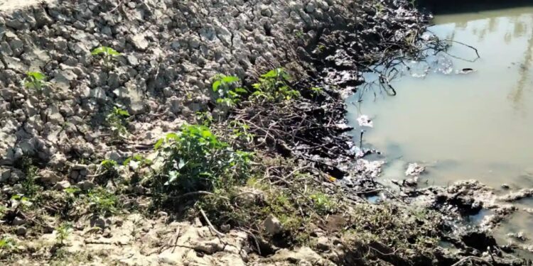 কক্সবাজারের  পিএমখালী  খালে বাঁধ দিয়ে অবৈধ মৎস্য ঘের তৈরি, ব্যাহত হচ্ছে কৃষিকাজ