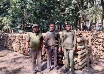 লামায় বন বিভাগের অভিযানে ৯টি ব্রিকফিল্ডে ৮ হাজার ঘনফুট লাকড়ি জব্দ