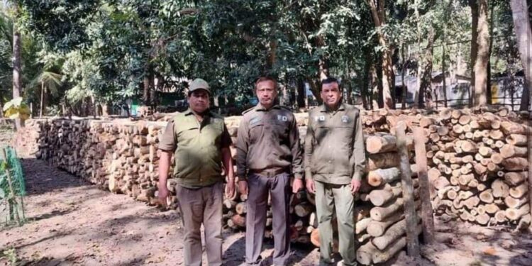 লামায় বন বিভাগের অভিযানে ৯টি ব্রিকফিল্ডে ৮ হাজার ঘনফুট লাকড়ি জব্দ
