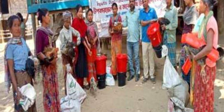 লামায় কারিতাসের বিনামূল্যে সবজি বীজ ও গবাদিপশু বিতরণ 1 লামায় কারিতাসের বিনামূল্যে সবজি বীজ ও গবাদিপশু বিতরণ