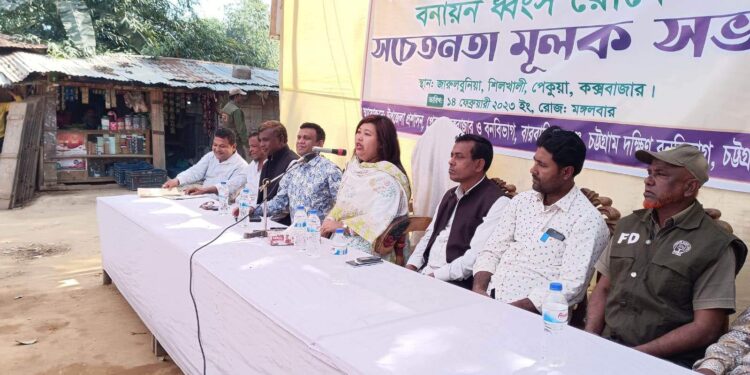 শিলখালীতে পাহাড় কাটা ও বনায়ন ধ্বংস রোধে সভা অনুষ্ঠিত