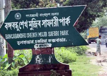 চকরিয়া বঙ্গবন্ধু সাফারি পার্কে এক বছরে ৪ সিংহ ও ২ হাতির মৃত্যু