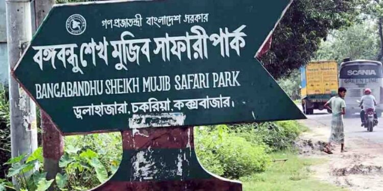 চকরিয়া বঙ্গবন্ধু সাফারি পার্কে এক বছরে ৪ সিংহ ও ২ হাতির মৃত্যু
