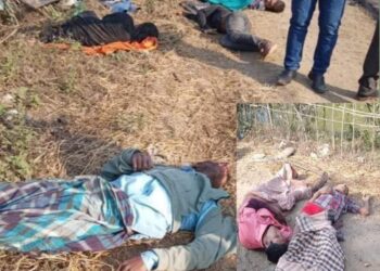 চকরিয়ায় যাত্রীবাহী লেগুনা গাড়ির মুখোমুখি সংর্ঘষে ৫ যাত্রী নিহত