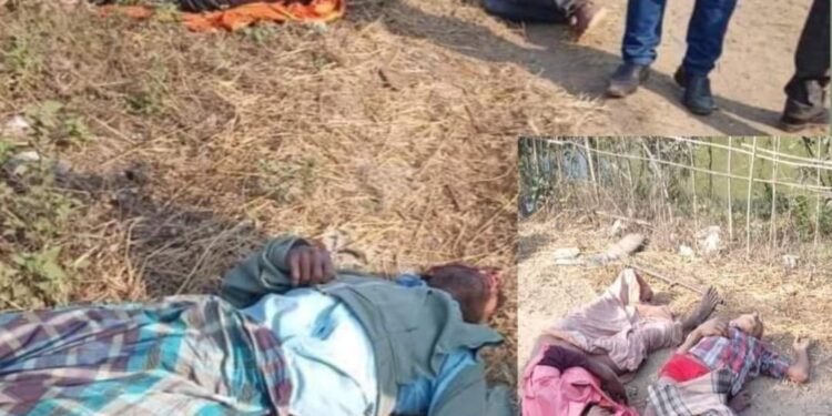 চকরিয়ায় যাত্রীবাহী লেগুনা গাড়ির মুখোমুখি সংর্ঘষে ৫ যাত্রী নিহত 1 চকরিয়ায় যাত্রীবাহী লেগুনা গাড়ির মুখোমুখি সংর্ঘষে ৫ যাত্রী নিহত