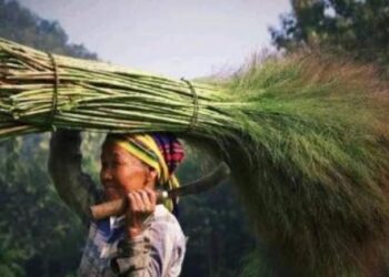লামার পাহাড়ি ফুল ঝাড়ুর কদর দেশজুড়ে