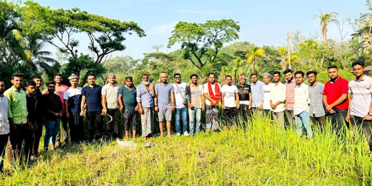 লামায় কৃষকের ধান কাটায় সহযোগিতা করলো ছাত্রলীগ
