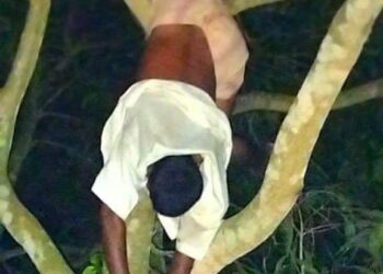 লামায় আম গাছ থেকে ভ্যান চালকের ঝুলন্ত লাশ উদ্ধার