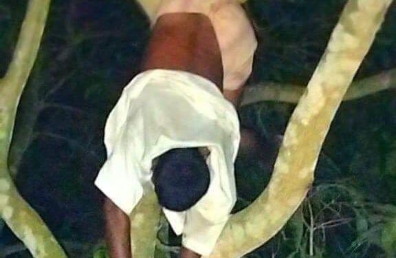 লামায় আম গাছ থেকে ভ্যান চালকের ঝুলন্ত লাশ উদ্ধার