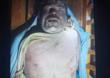 লামায় ফের বন্যহাতির আক্রমণে কৃষকের মৃত্যু