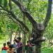 নাইক্ষ্যংছড়িতে বসতঘর থেকে  অজগর উদ্ধার