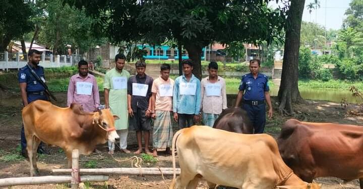 বান্দরবানের লামা-আলীকদমে গরু চোর চক্রের ৬ সদস্য আটক 1 বান্দরবানের লামা-আলীকদমে গরু চোর চক্রের ৬ সদস্য আটক