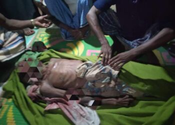 পেকুয়ায় বন্য হাতির আক্রমণে বৃদ্ধ নিহত