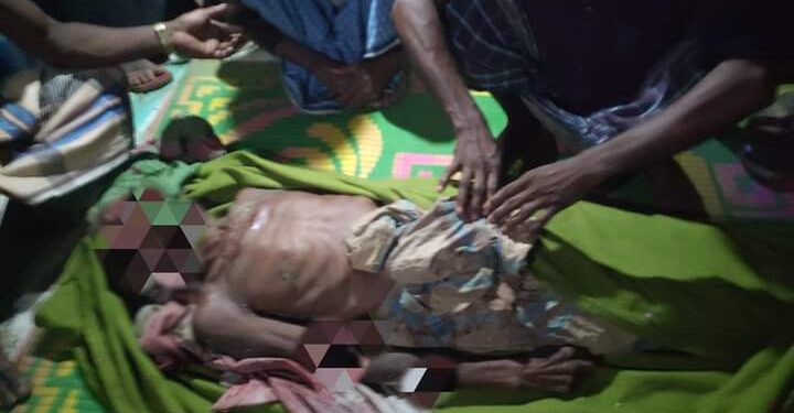 পেকুয়ায় বন্য হাতির আক্রমণে বৃদ্ধ নিহত
