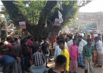 কোরবানীর দিনে অন্যরকম মাংসের হাট